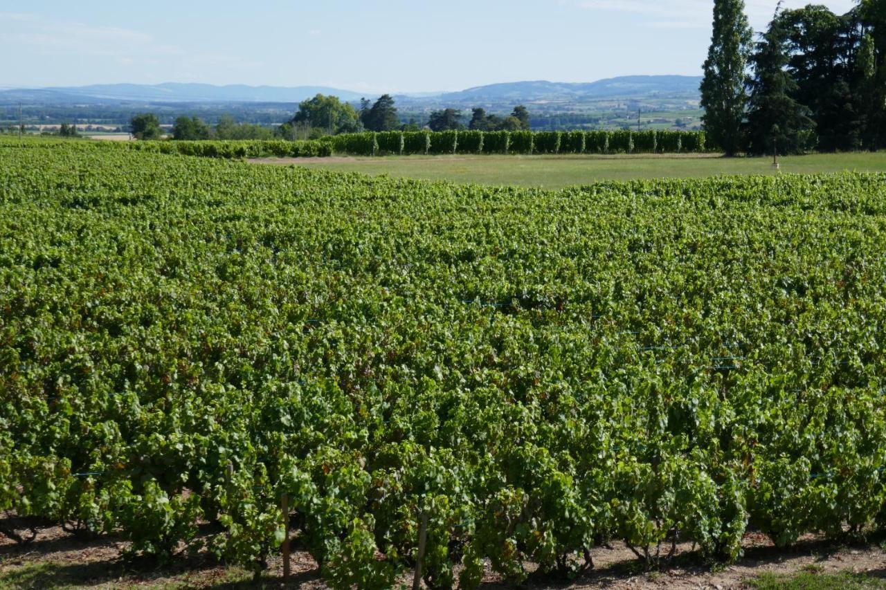 Belleville-en-BeaujolaisLe Bel Air De Saint Jean住宿加早餐旅馆 外观 照片